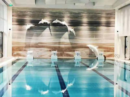 泳池需要不需要除濕機(jī)，安裝除濕機(jī)的好處？