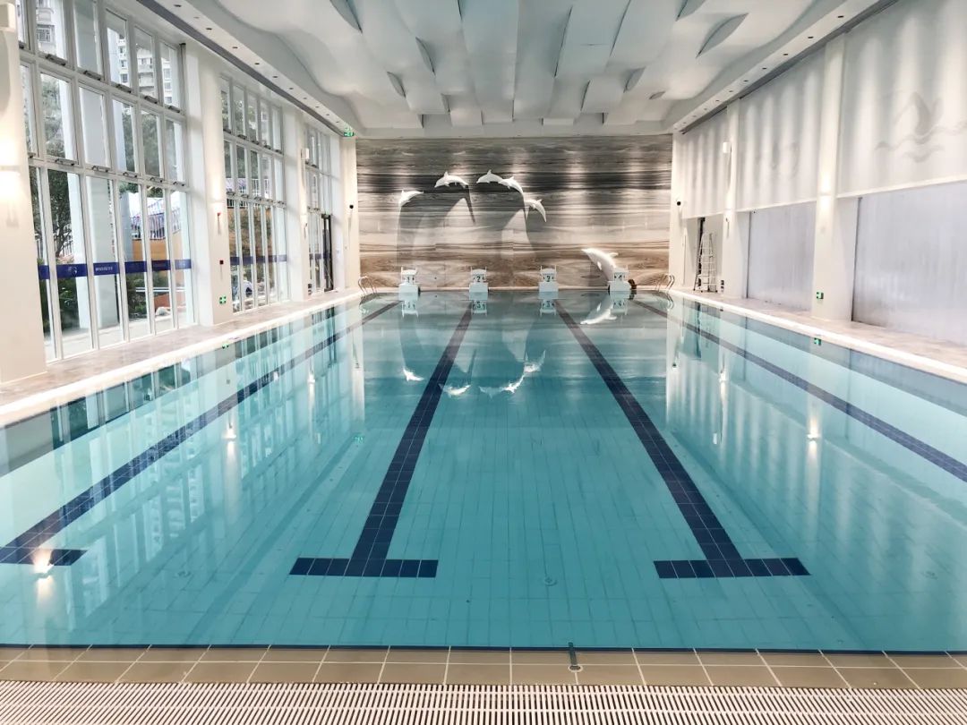 游泳池專用除濕機,游泳池除濕機,室內(nèi)游泳館除濕機