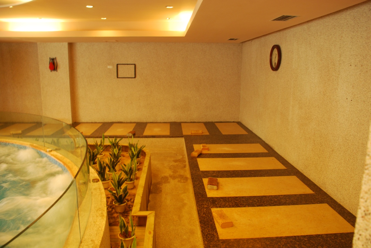 室內(nèi)游泳館除濕機(jī) 