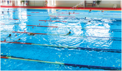 冬季室內游泳池里邊的空氣不好如何解決？